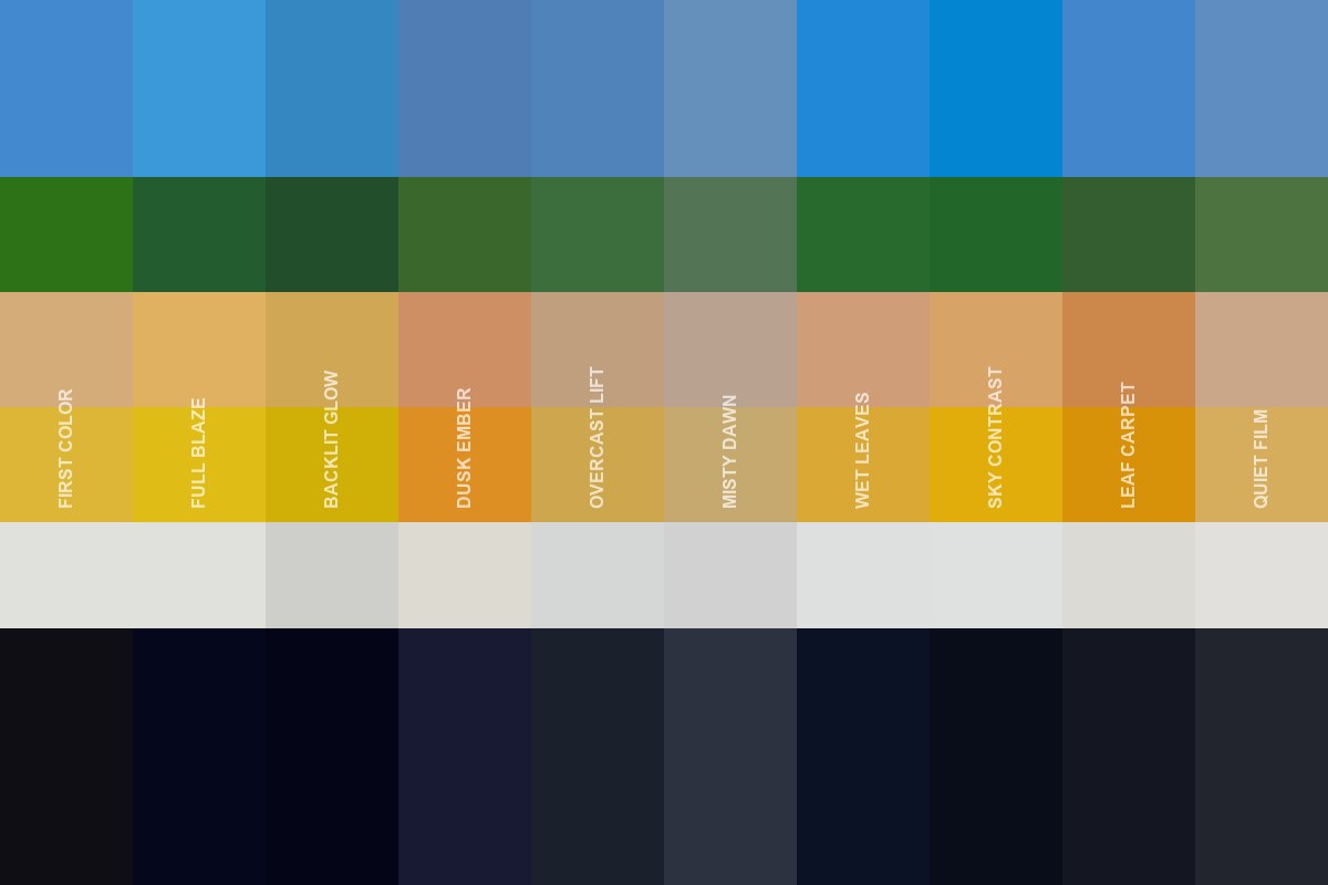 HARVEST LUT vol.17